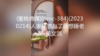 (蜜桃傳媒)(pmc-384)(20230214)人妻秘書為了夢想睡老闆-吳文淇