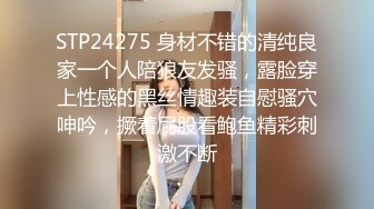 那个受欢迎的女播音员型美乳美女回来了