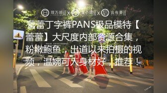 蕾蕾丁字裤PANS极品模特【蕾蕾】大尺度内部资源合集，粉嫩鲍鱼，出道以来拍摄的视频，温婉可人身材好，推荐！