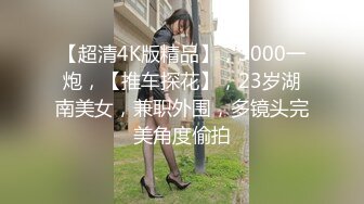 【超清4K版精品】，3000一炮，【推车探花】，23岁湖南美女，兼职外围，多镜头完美角度偷拍