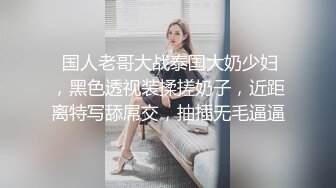  国人老哥大战泰国大奶少妇，黑色透视装揉搓奶子，近距离特写舔屌交，抽插无毛逼逼