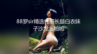 Al换脸刘亦菲超长片