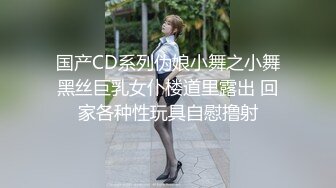 国产CD系列伪娘小舞之小舞黑丝巨乳女仆楼道里露出 回家各种性玩具自慰撸射