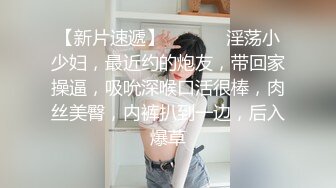 91茄子.女导游推销纪念品勾引土豪游客-糖糖