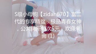 短发小女仆