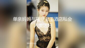 单亲妈妈与隔壁老王酒店私会 人美活好