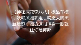 河北我的大学女友第二部