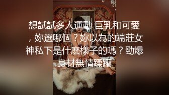 中集,小偷与租客的故事