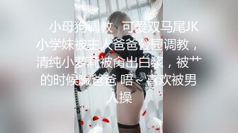 麻豆传媒MDX-0262艳遇末班列车-温芮欣