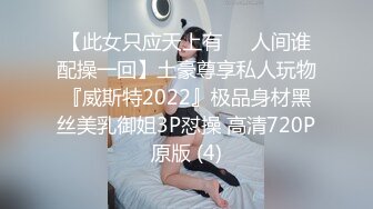 麻豆传媒MDX-0238-1时间停止器之痴女空姐的逆袭-寻小小