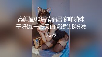 北京骚女后入！猛插