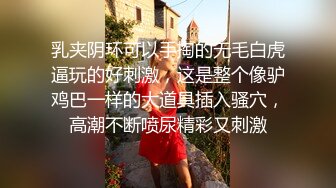 【AI换脸视频】李一桐  迈向女优的性技考验