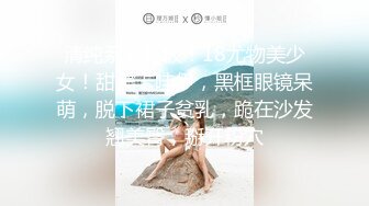 麻豆傳媒 三只狼 SZL-014 姐夫深夜叫了個上門服務居然是小姨子