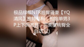 极品绿帽NTR翘臀骚妻【YQ清风】推特福利，约炮单男3P上下洞齐开，完美蜜桃臀全自动 (2)