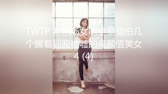 TWTP 游乐场女厕全景偷拍几个撅着屁股嘘嘘的高颜值美女4 (4)